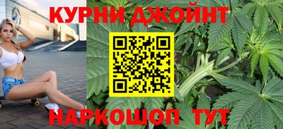 прущие грибы Ачхой-Мартан