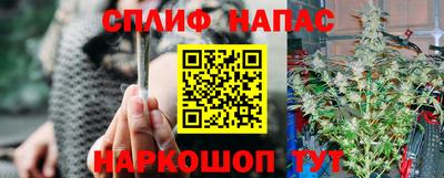 сатива Баксан