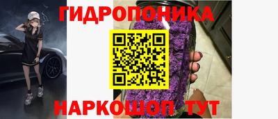 прущие грибы Ачхой-Мартан