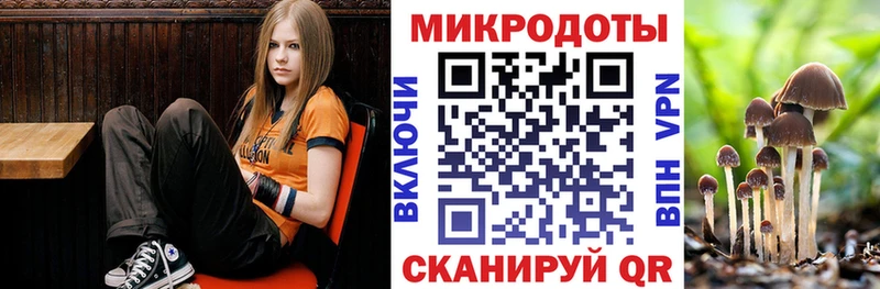 KRAKEN рабочий сайт Балашов Псилоцибиновые грибы мицелий