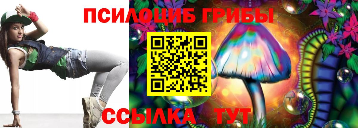закладки  Вход с VPN  Балашов  Галлюциногенные грибы мухоморы 